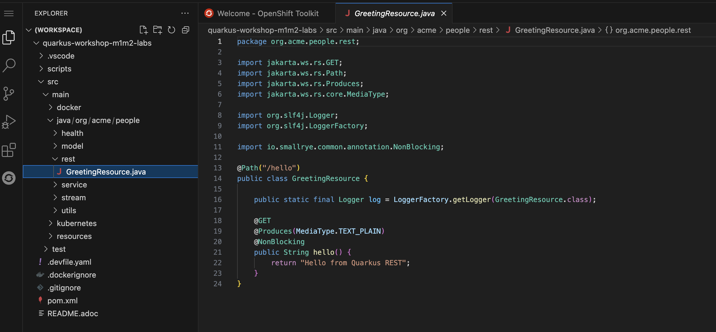VS Code-workspace-terminal